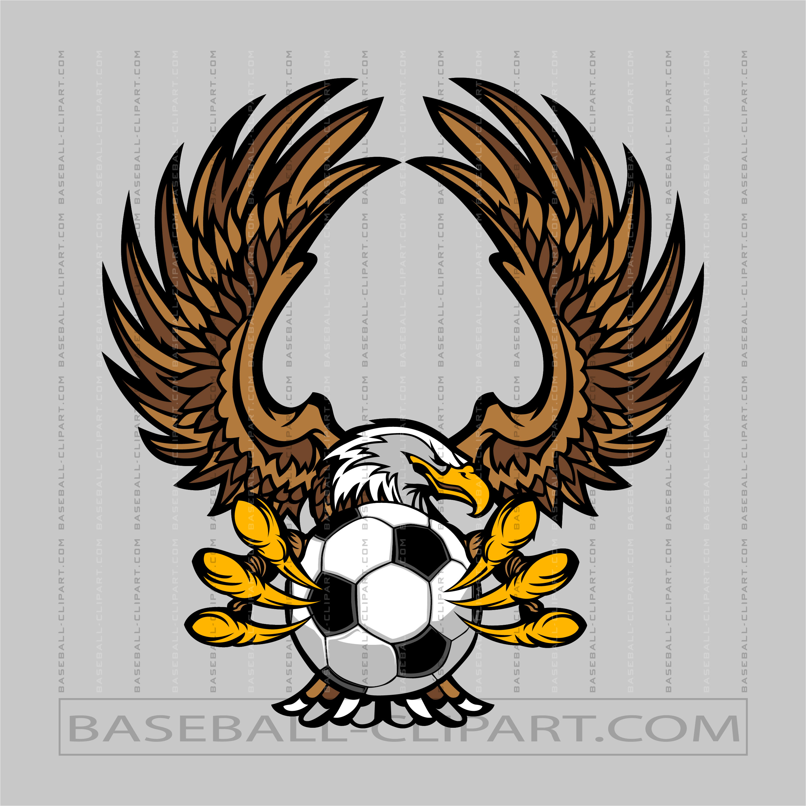 Eagles Soccer